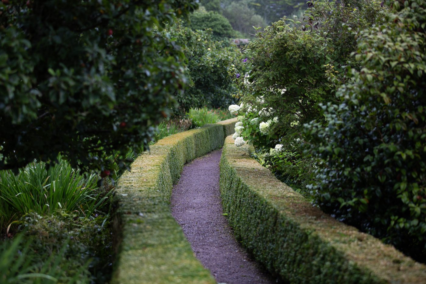 Visitors walking through the walled garden at Inverewe